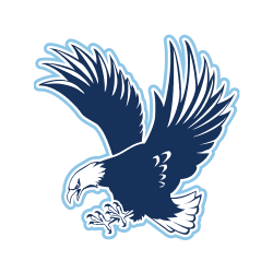 Eagles Volleyball Camps